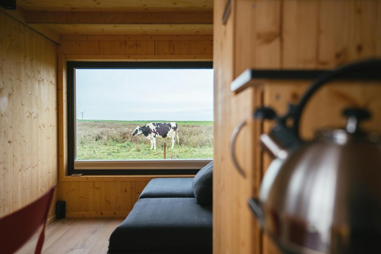 Tiny House Nature 6 Zur Kuhweide - Green Tiny Village Harlesiel Carolinensiel Exterior photo